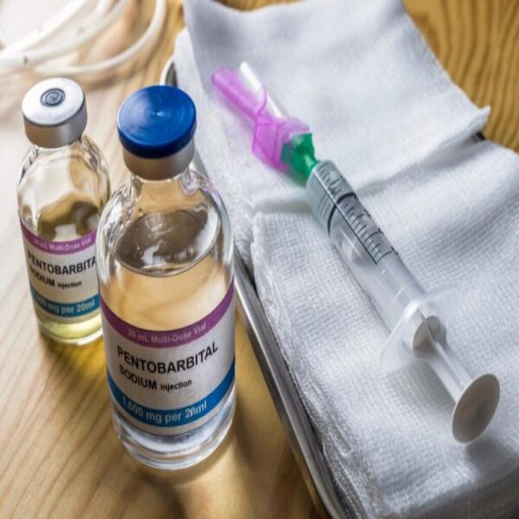 Best Suicide Drugs, nembutal meaning, nembutal suppository, nembutal and seconal are both examples of, nembutal side effects, nembutal uses, nembutal generic name, nembutal street name, nembutal sodium solution, nembutal price india, what is nembutal used for,